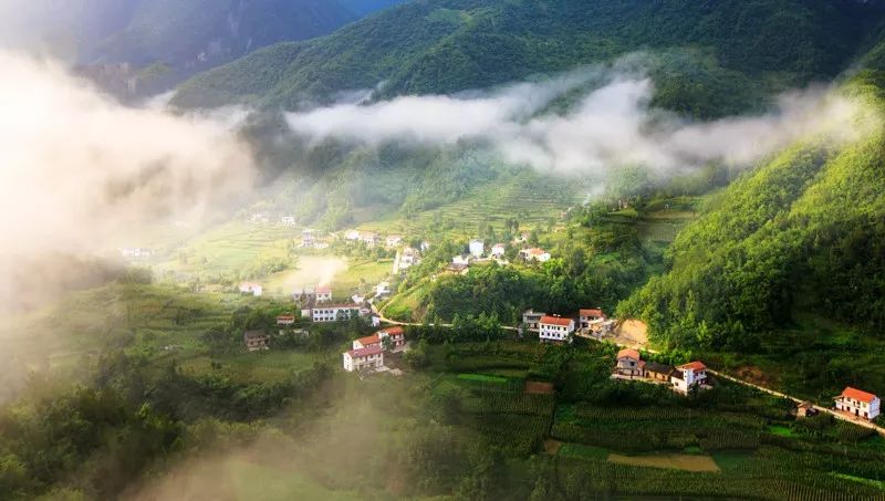 全省唯一鎮坪上榜全國綠水青山就是金山銀山實踐創新基地