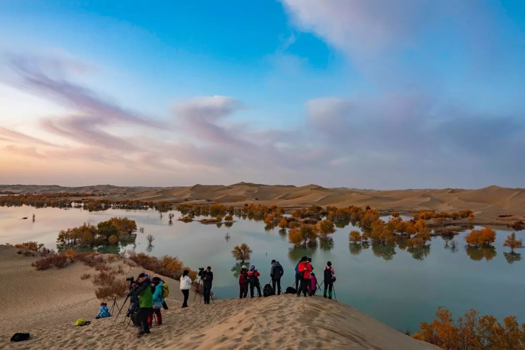 活动花絮一路苍茫一路秋超越摄影俱乐部新疆金秋采风创作纪实