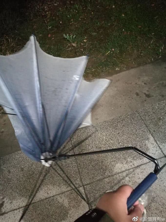 被风吹坏的雨伞图片图片