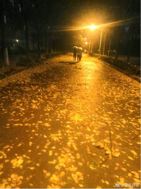 7到9级大风气温暴跌至3湖北多地降雪接下来的天气