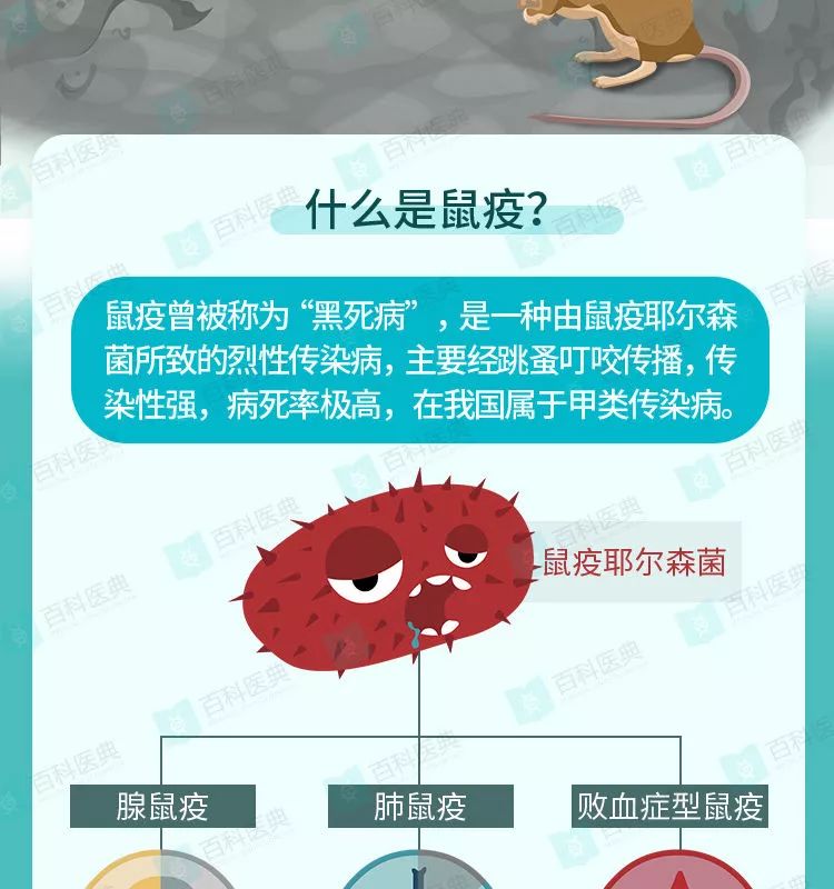 内蒙古28人被隔离观察一病人被确诊为腺鼠疫不要恐慌但也要重视