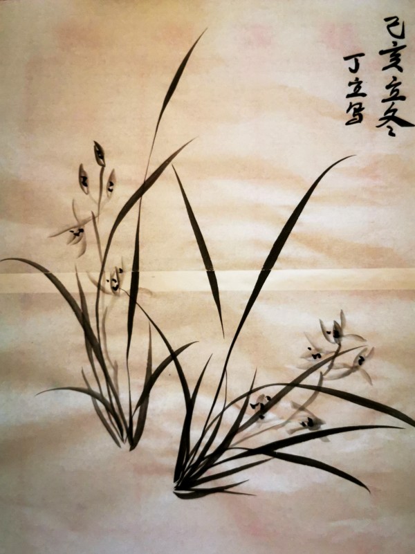 充满奇缘和惊喜参加安君康老师网络兰草班学习心得