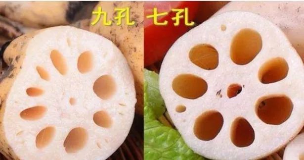 秋藕最补人七孔藕与九孔藕别选错了