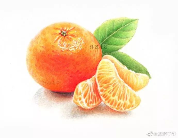 彩铅教程橘子