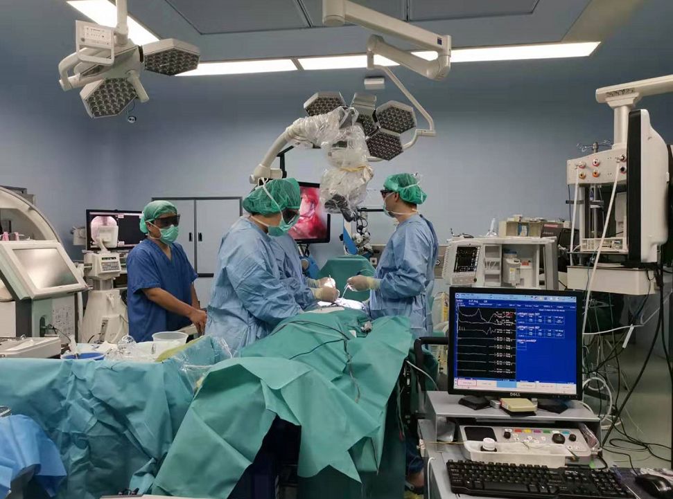 新闻报神经外科全国年会又创佳绩多项殊荣实至名归