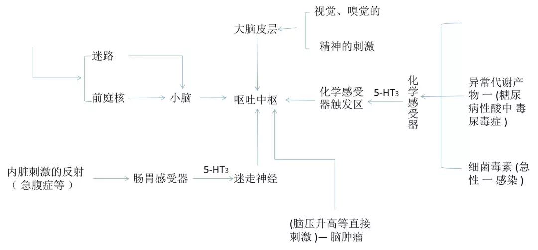 呕吐思维导图图片