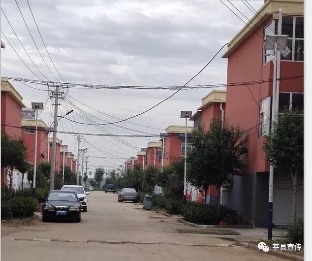 莘县古城镇:支部领办合作社 促进经济新腾飞!