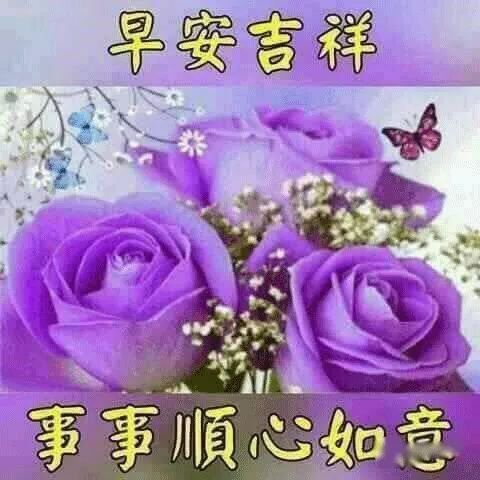 微信暖心唯美的心情句子,早上群发的早上好问候表情祝福图片