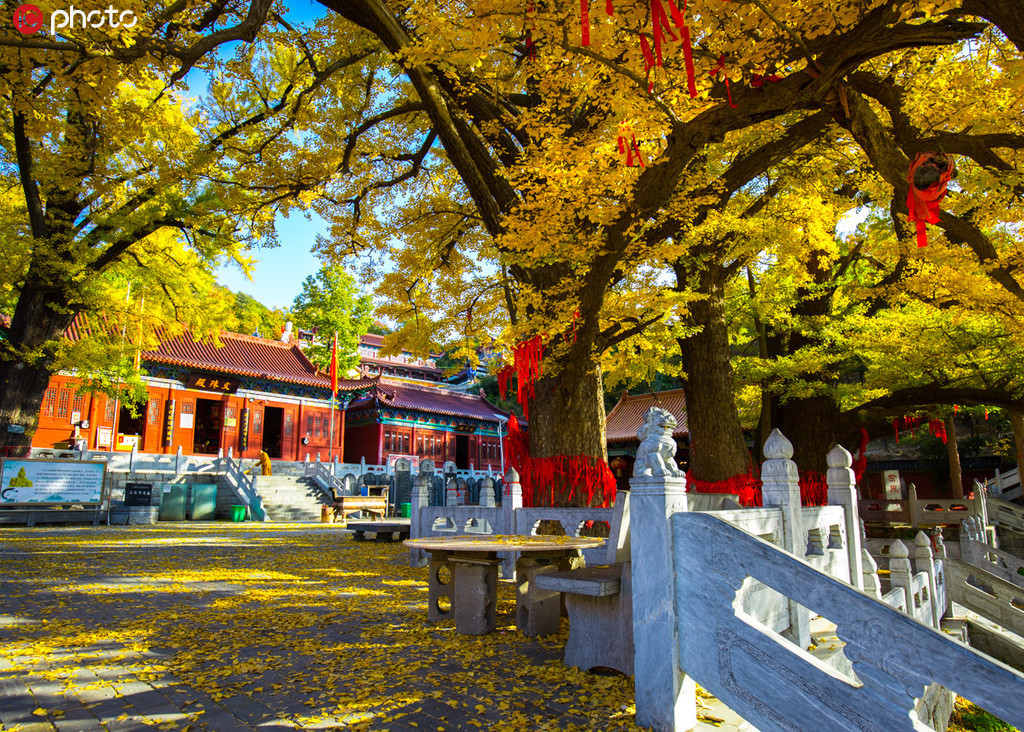 文殊寺景区图片