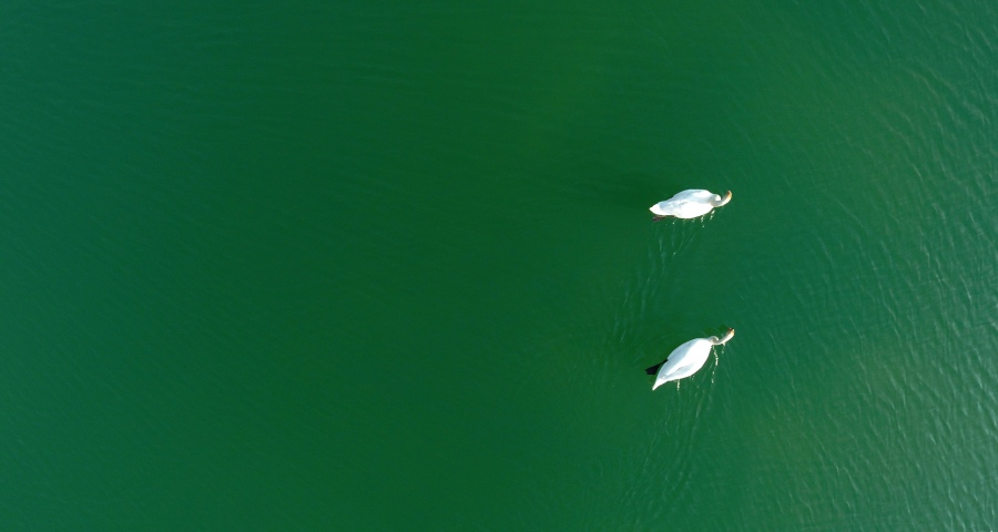 坚持投入、坚持促销、坚持发展，是家电厂商的唯一活路和捷径！-家电圈官网