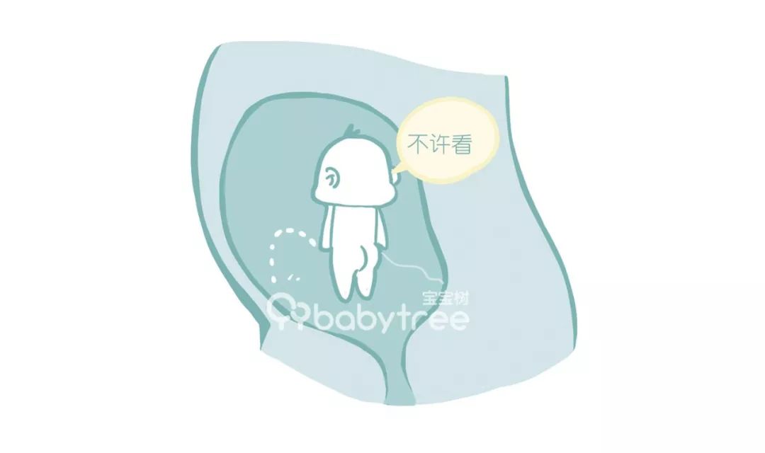 图解宝宝在肚子里会怎么动宝妈们看完直呼太有趣