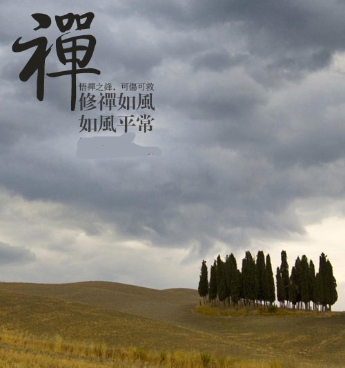 在禅学看来,世上万事万物,形相上虽然有差别,本性上却是平等的.