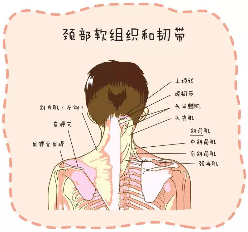 原创漫画图解为啥您的颈部会疼痛