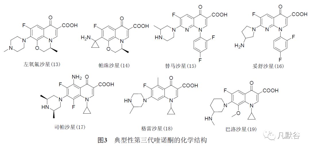 喹诺酮结构图片