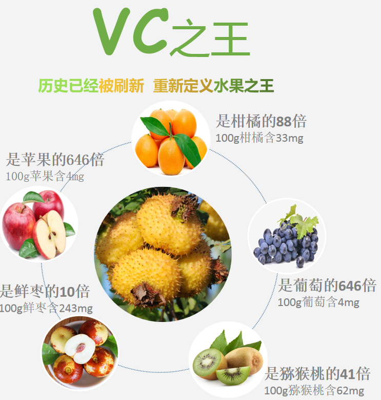 【反氧anti-oxygen】刺梨是名副其实 vc之王!