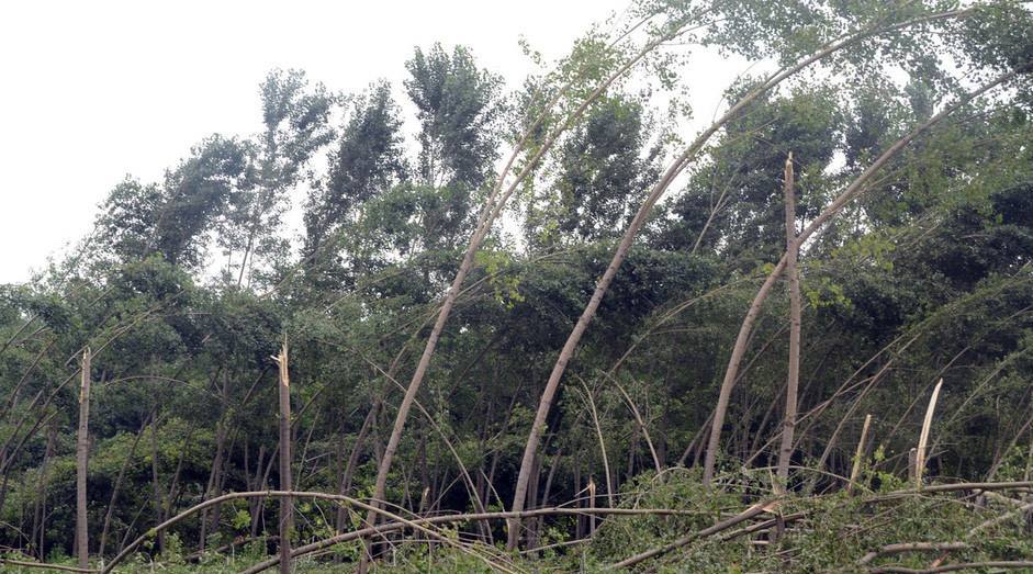 北京九级大风女驴友被大风吹下20米悬崖经三地救援找到遗体