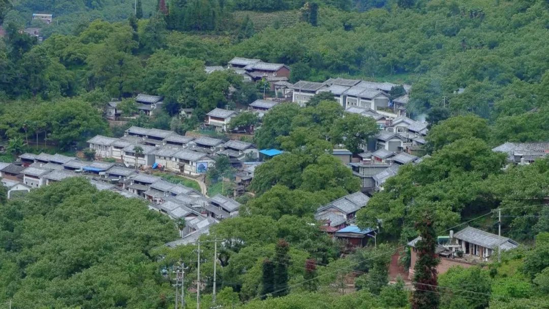 弥渡牛街乡小蜜蜂模式引领特色产业发展