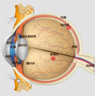 兴龙社区集善扶贫健康行眼底病公益普查活动