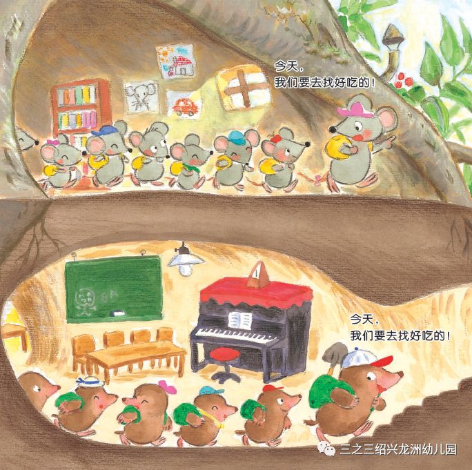 【三之三@华盛顿a班】幼儿园的番薯丰收啦!_鼹鼠