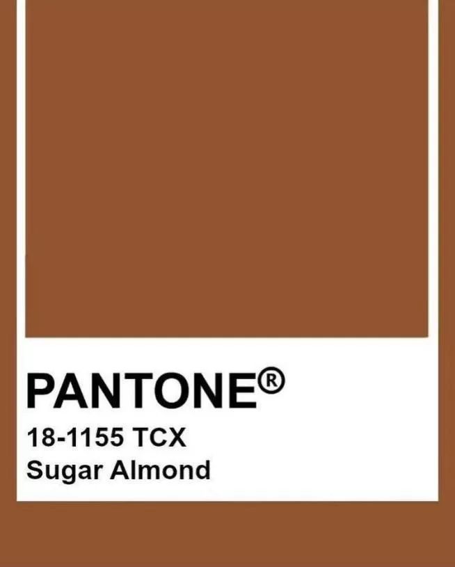 棕色不论深浅都带着一股莫名的魅力让欣赏者能够与饭店内的复古气息