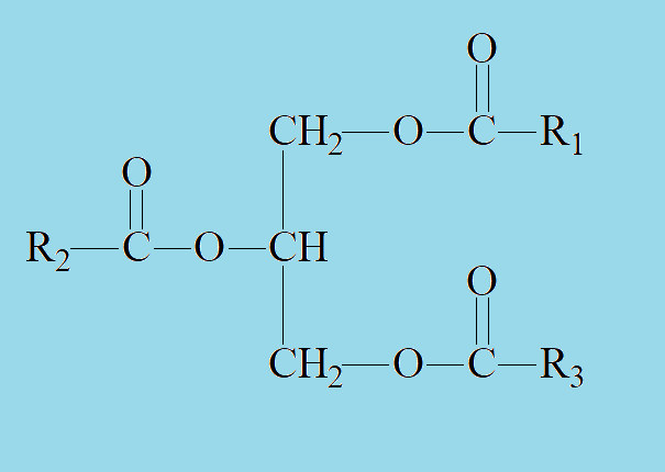 脂肪酸分子结构式图片