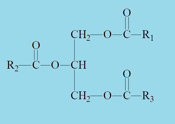甘油结构图图片