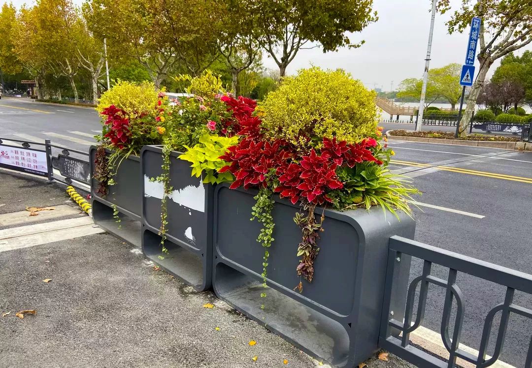 美麗城市花箱護欄東湖邊的風景線