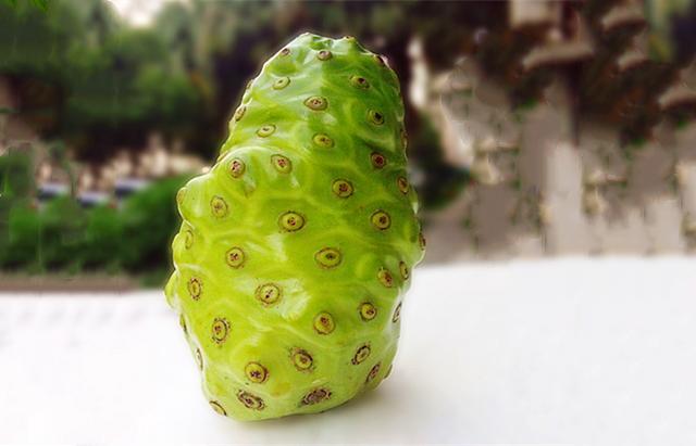 原创这种水果"奇臭无比",连鸟都不吃,却因这一点,被大面积种植