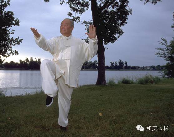 杨振铎大师教你练太极拳