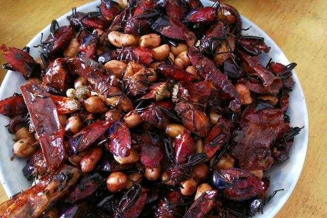 农村大家都讨厌的打屁虫,居然有壮阳功效,药房里卖几百块一斤