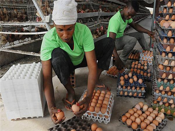 直击中国农民到非洲开农场自己修路开荒种出来的葱比手臂还粗