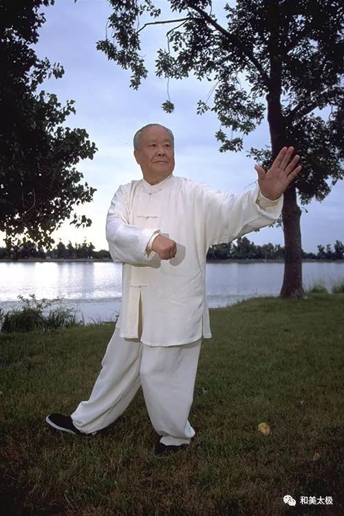 杨振铎大师教你练太极拳