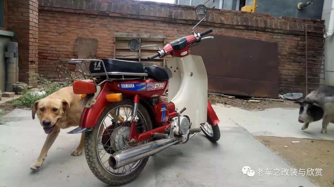 重庆cy80脱变改装过程无趣投稿