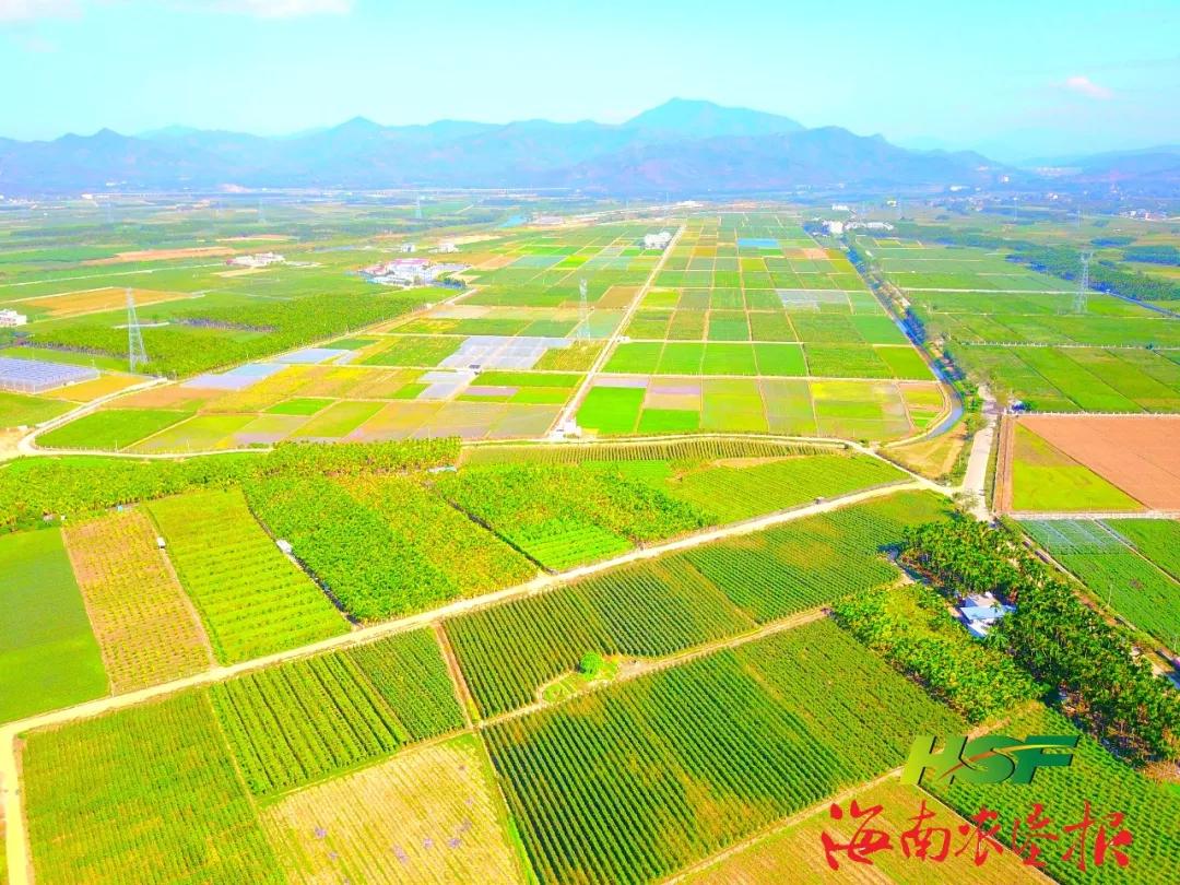 海垦南繁集团这里正在打造种业硅谷