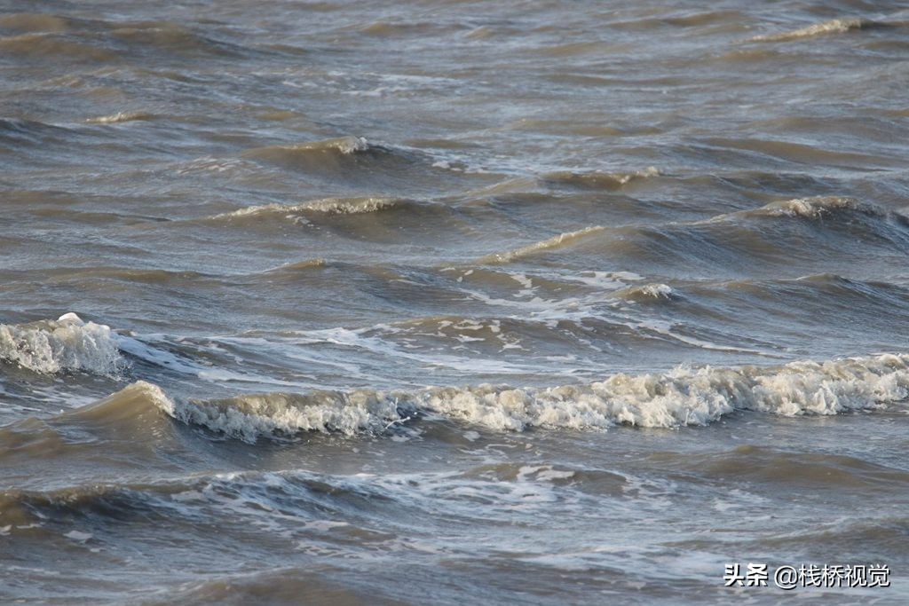 海底浊流图片