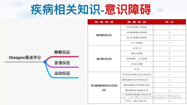 ppt思維導圖多學科聯合護理教學查房