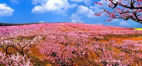 古诗词中的"物是人非",每一句都那么美_晏殊