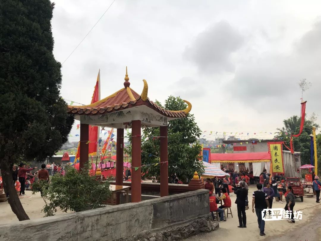 昨天,桂平寻旺这个地方,超级多人聚集._寻旺乡