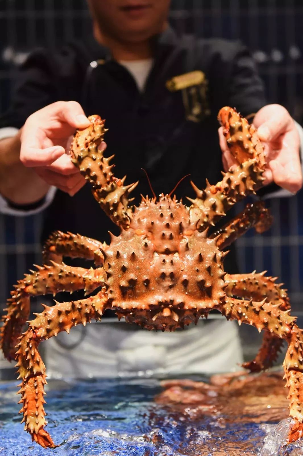 2个人在火锅店里吃了5个小时3127元北海道花咲蟹南非小红龙m9级牛肉一