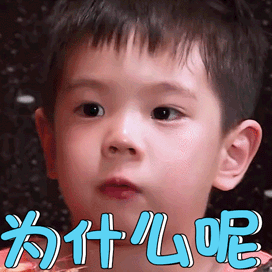 这个大型色情网站被捣毁.