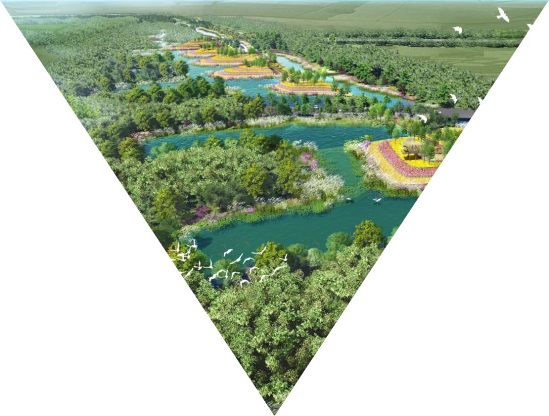 这里是美丽富裕文明新齐河黄河国际生态城