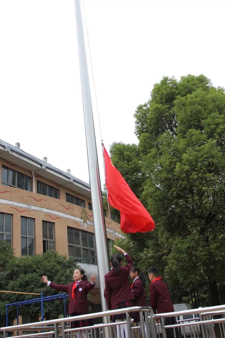 班级新闻童心爱祖国礼赞新时代记宾王小学教育集团505中队国旗下颂