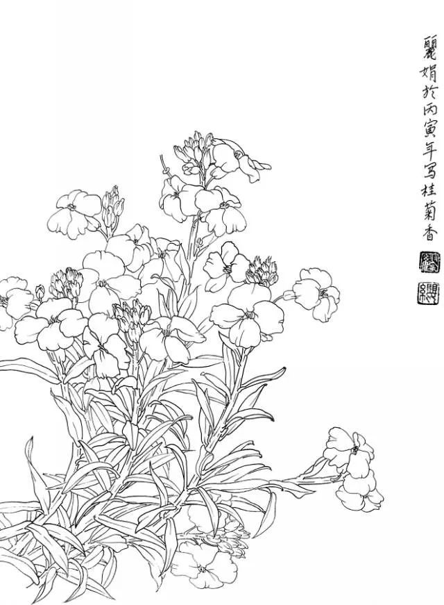 白描花卉寫生範本百花譜