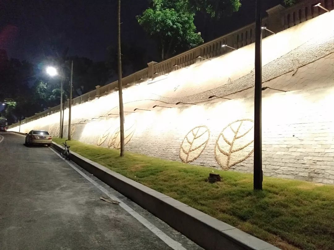 滨海风情壁画融入珠海特色道路沿线还设置了景观矮墙,外侧种植小琴