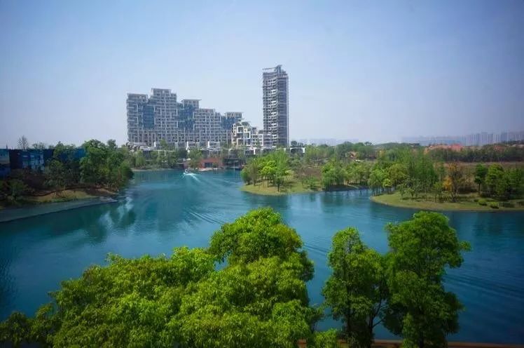 巨星纷纷亮相郑州社群运营对于房企真的很重要文末有福利