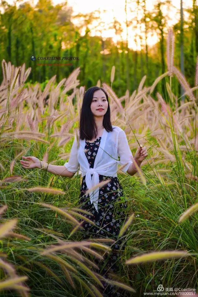 人像摄影情系狗尾草