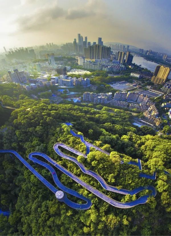 森林进城入村惠民我省创建森林城市结硕果