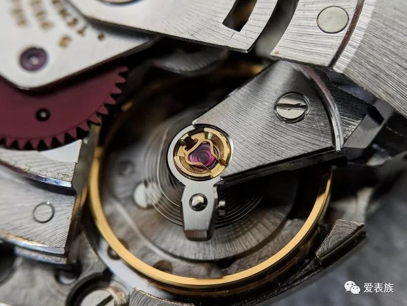 避震器手表的忠实卫士