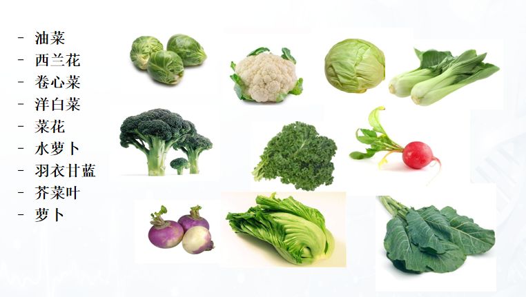 素等物质,通过不同机制调节与抗肿瘤相关的信号通路,抑制肿瘤细胞增殖