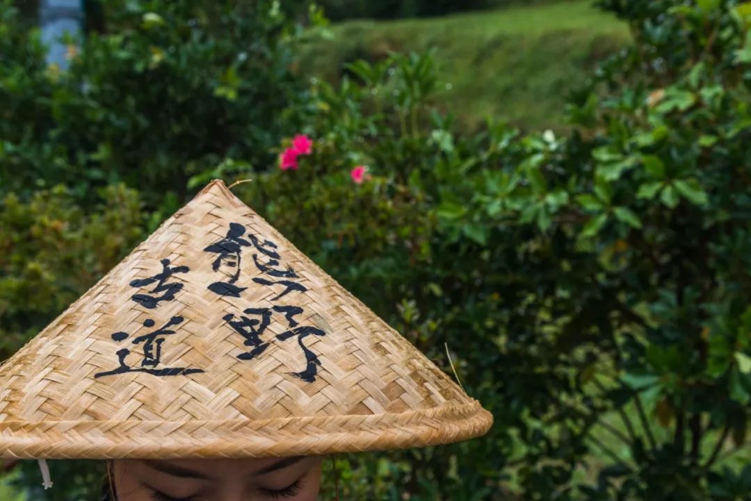 熊野古道纪念斗笠